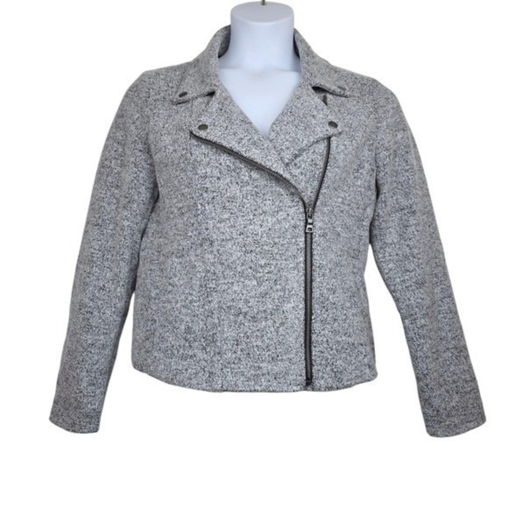 Loft Womens Light Grey Moto Zip Jacket Size M NWT